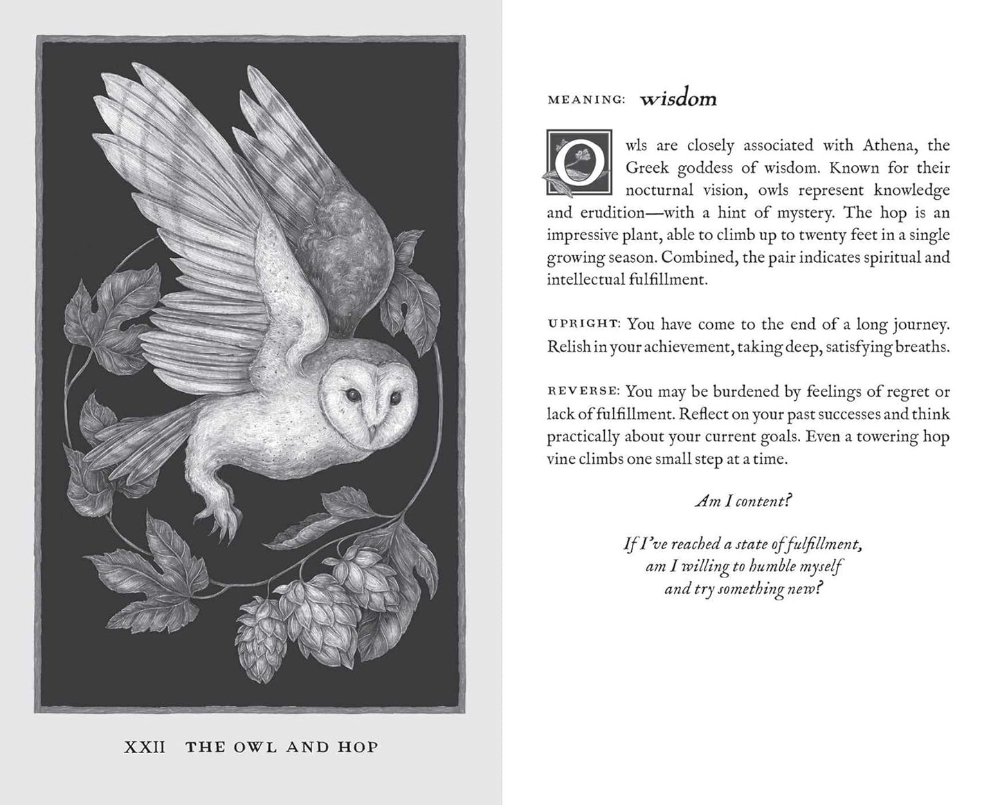 Woodland Wardens: 52-Card Oracle Deck & Guidebook Andrews McMeel Publishing