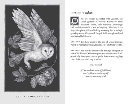 Woodland Wardens: 52-Card Oracle Deck & Guidebook Andrews McMeel Publishing