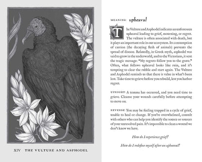 Woodland Wardens: 52-Card Oracle Deck & Guidebook Andrews McMeel Publishing