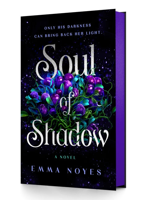 Soul of Shadow Wednesday Books